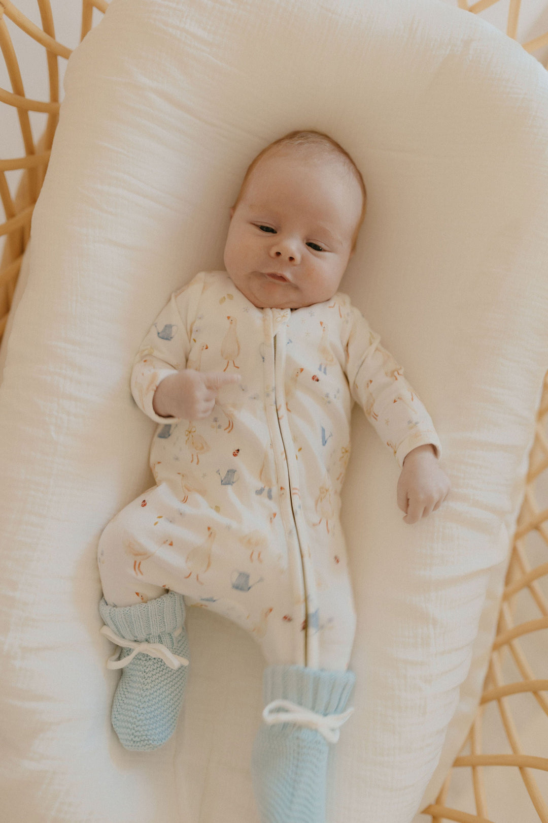 Baby wearing the Country Goose Zipsuit, lying in a bassinet