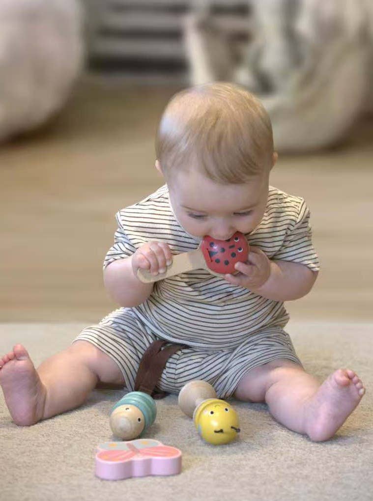 ToysLink - Toyslink Wooden Happy Spring Animals Musical Instruments Set