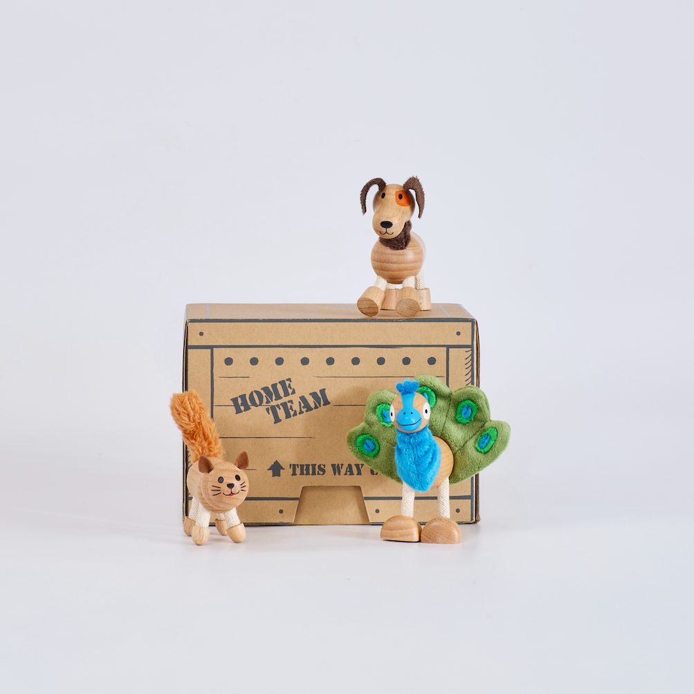 Anamalz Barnfields Mini Crate: Home Team, wooden toy by Anamalz – photo 1 of 7