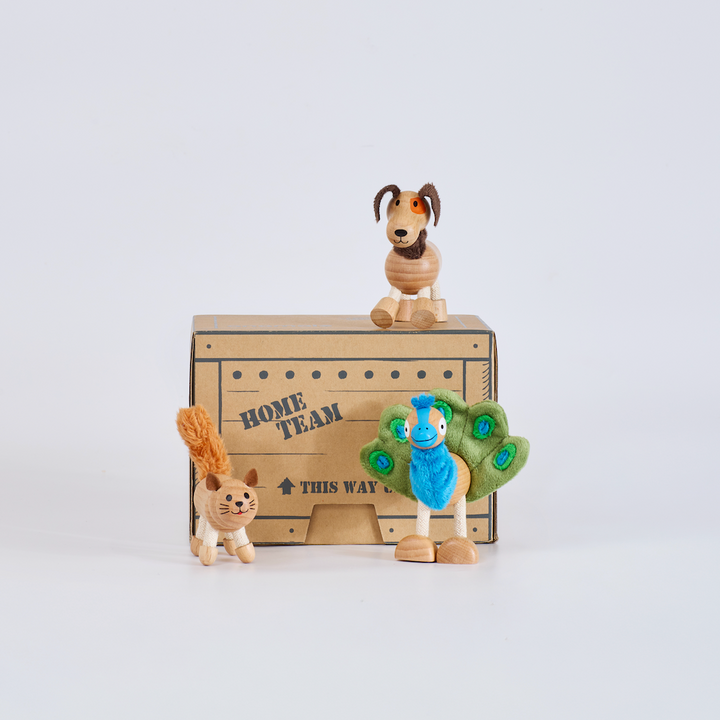 Anamalz Barnfields Mini Crate: Home Team, wooden toy by Anamalz – photo 1 of 7