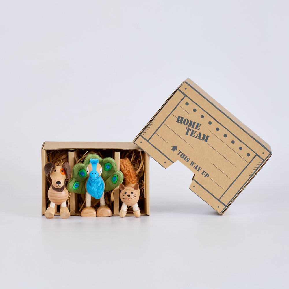 Anamalz Barnfields Mini Crate: Home Team, wooden toy by Anamalz – photo 2 of 7