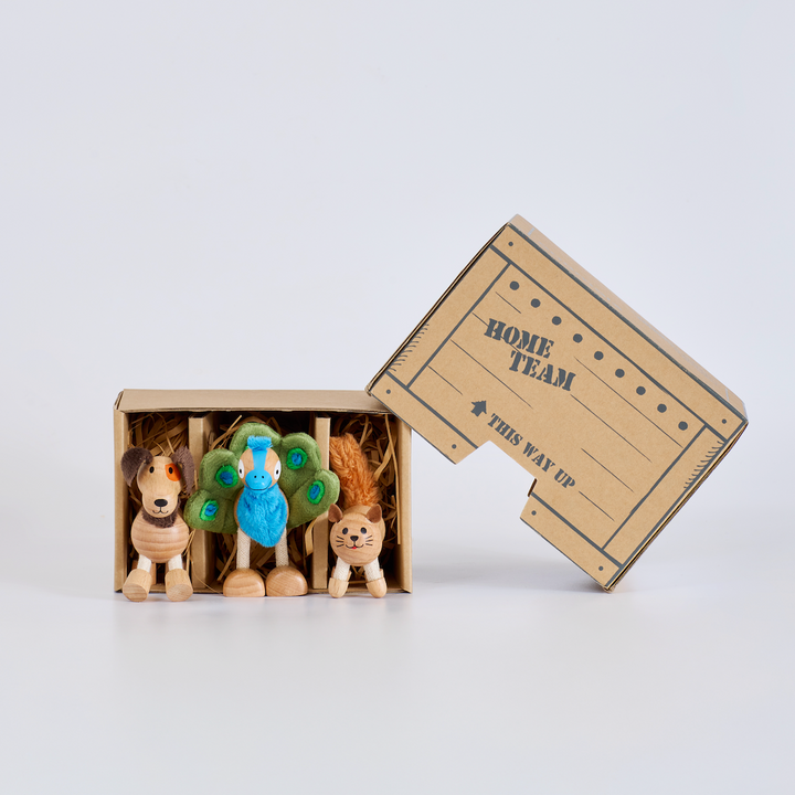 Anamalz Barnfields Mini Crate: Home Team, wooden toy by Anamalz – photo 2 of 7