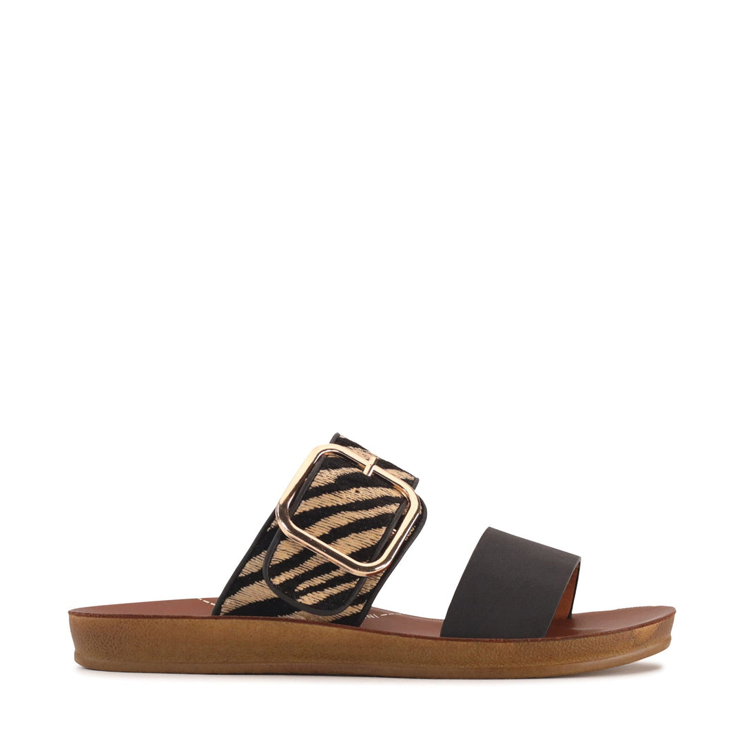 Los Cabos Doti - Black Zebra - photo 1