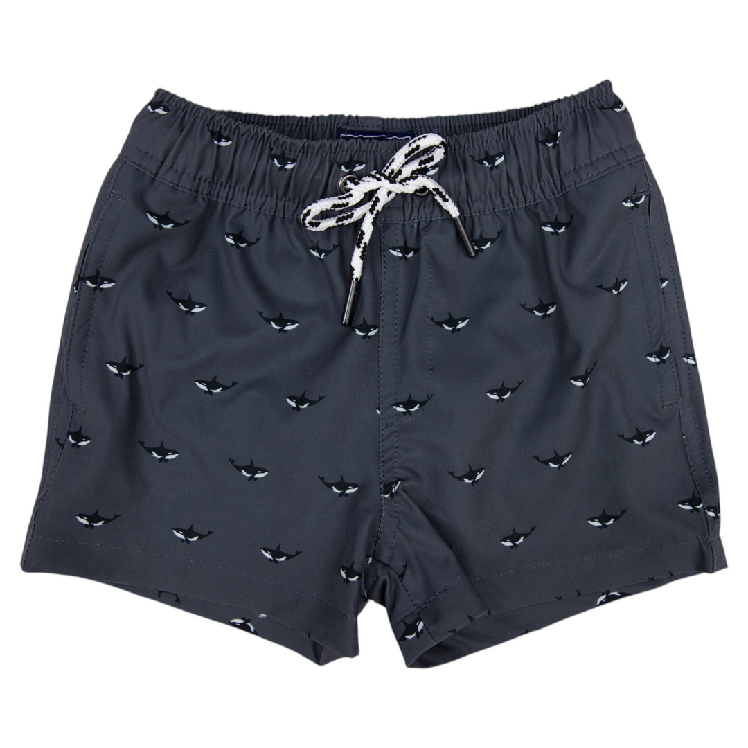 Korango - Quick Dry Boardies - Orca Print