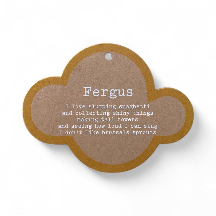 Fergus Koala Soft Toy by and the little dog laughed - photo 4 of 6