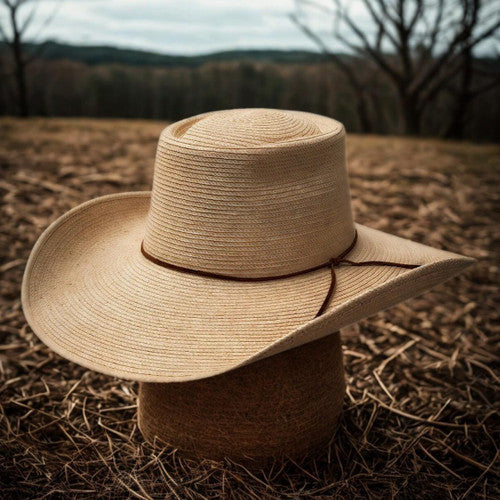 Sunbody Hats Reata III Palm Leaf Hat in Natural/Brown, photo 2 of 2